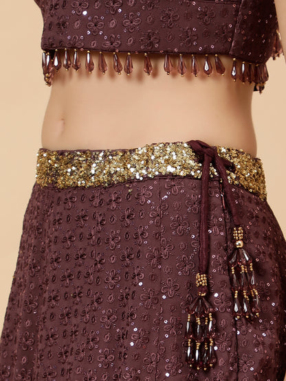 Dark Wine Lehenga with Embroidery